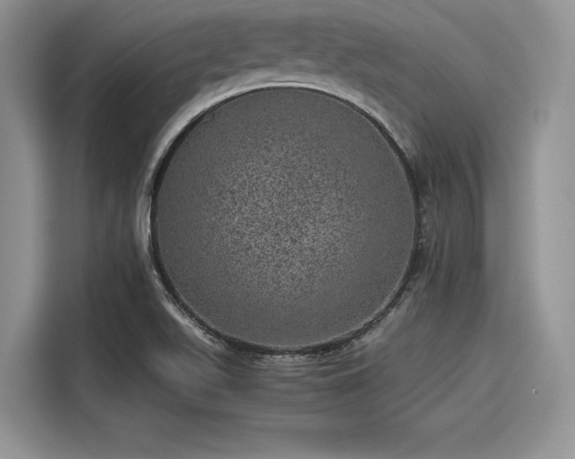 X0000116101511200911301052
