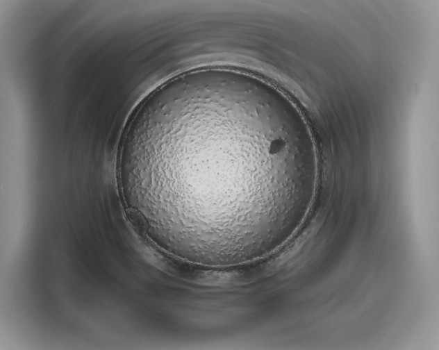 X0000116101513200911301052