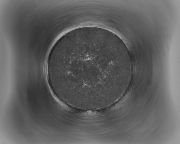 X0000116101515200911301052