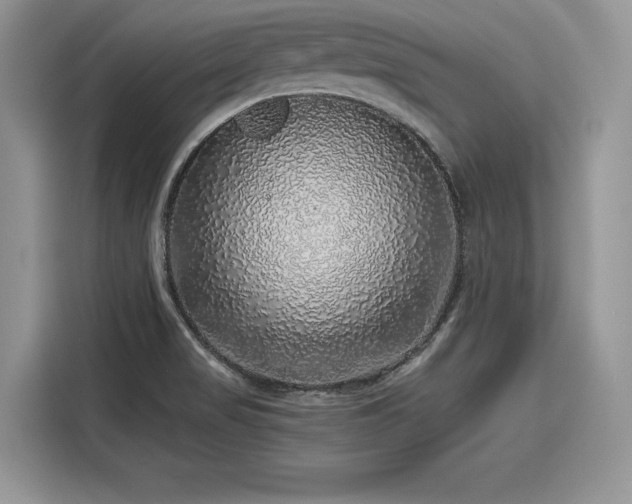 X0000116101517200911301052
