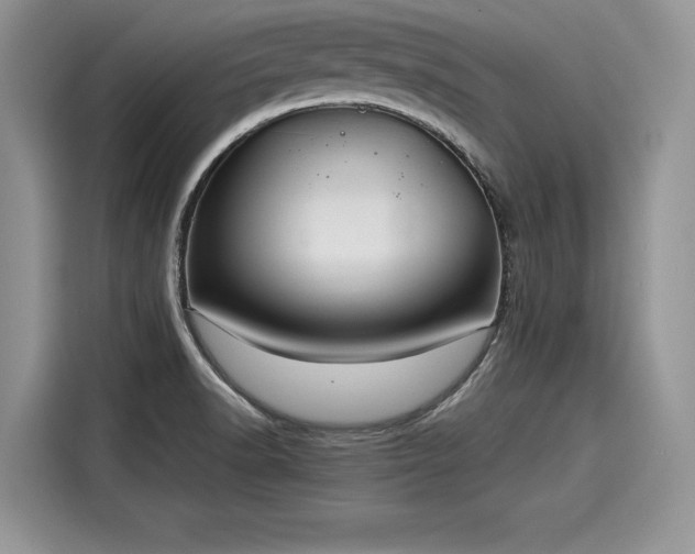 X0000116101518200911301052