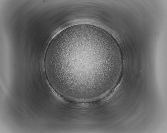 X0000116101521200911301052