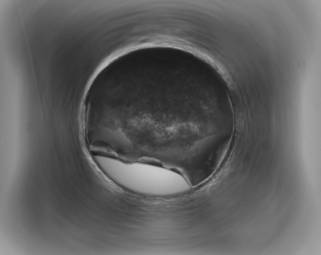 X0000116101522200911301052