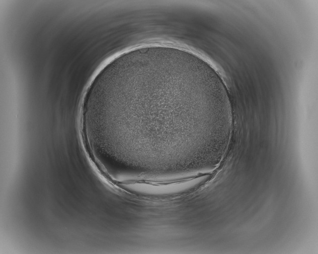 X0000116101523200911301052