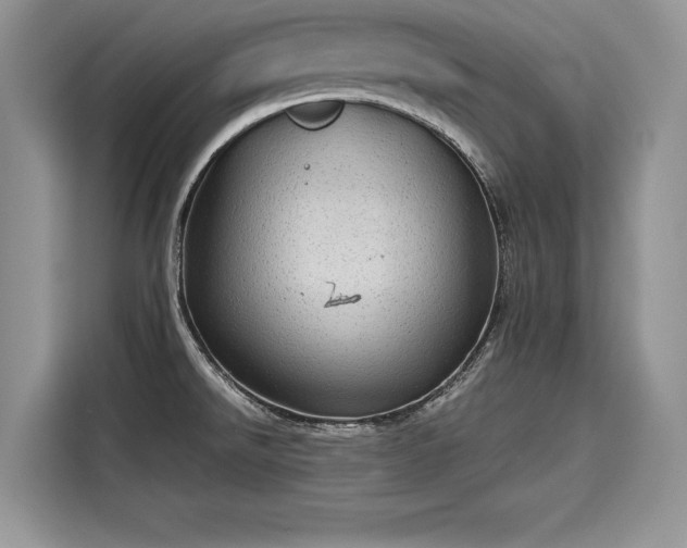 X0000116101526200911301052