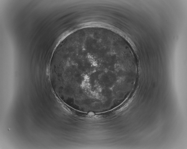 X0000116101529200911301052
