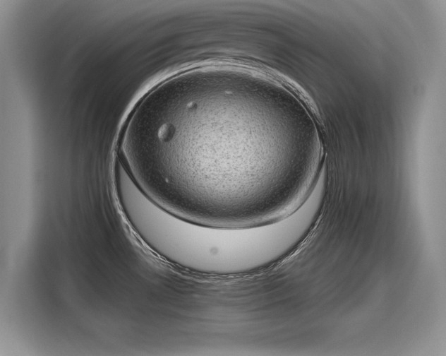 X0000116101530200911301052