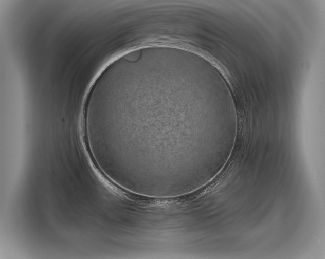 X0000116101531200911301052