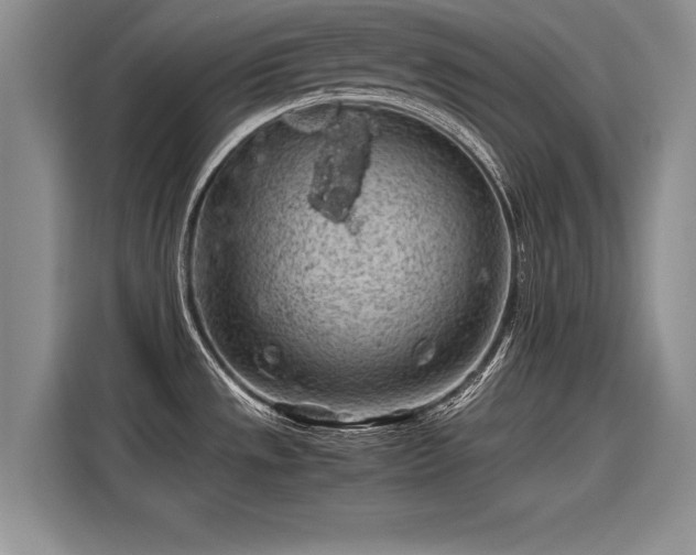 X0000116101533200911301052