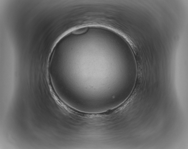 X0000116101534200911301052