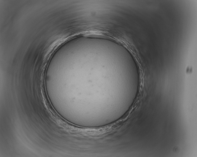 X0000116100001200912071310