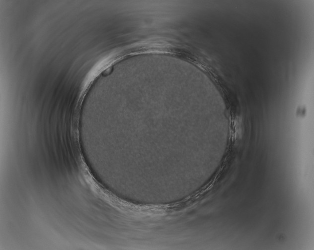 X0000116100004200912071310