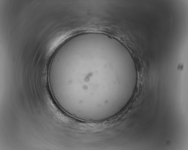 X0000116100005200912071310