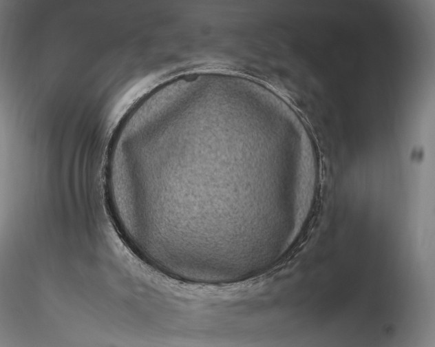 X0000116100007200912071310