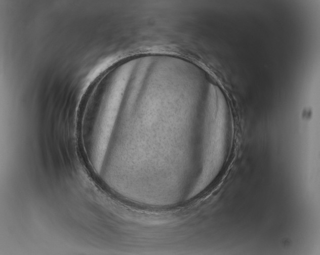 X0000116100008200912071310