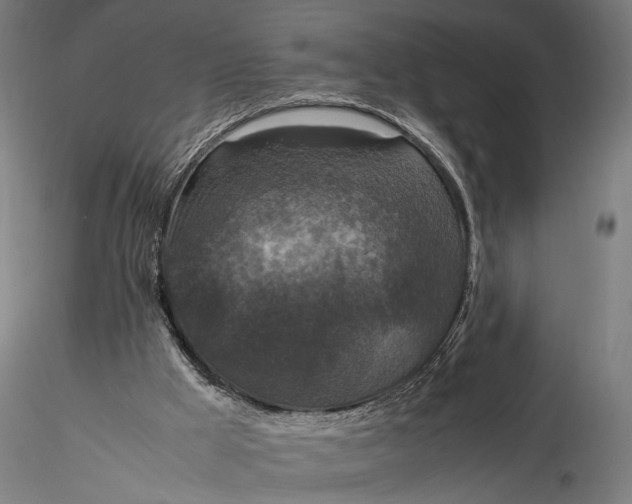 X0000116100009200912071310