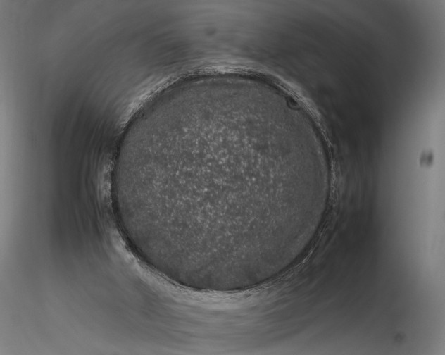 X0000116100010200912071310