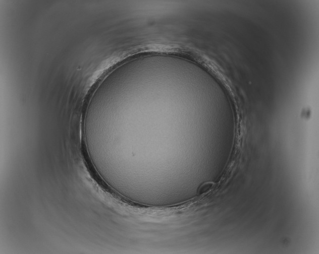 X0000116100011200912071310