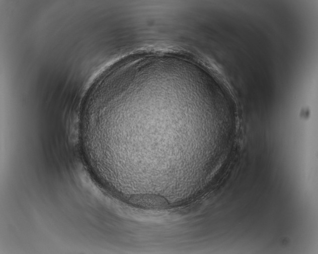 X0000116100012200912071310