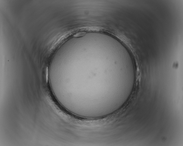 X0000116100013200912071310