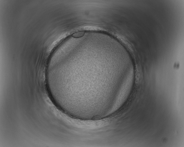 X0000116100015200912071310