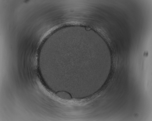 X0000116100016200912071310