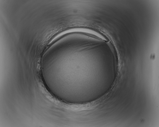 X0000116100017200912071310