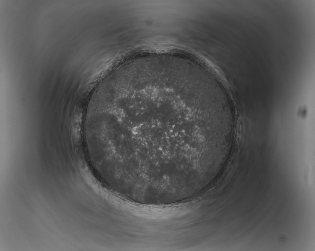 X0000116100018200912071310