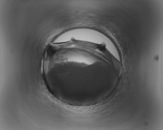 X0000116100019200912071310