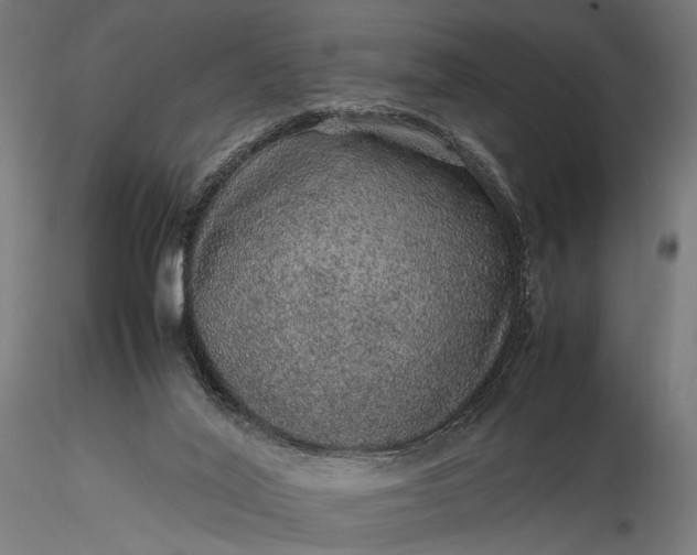 X0000116100020200912071310