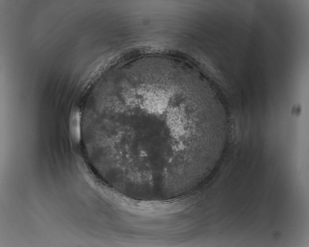 X0000116100022200912071310