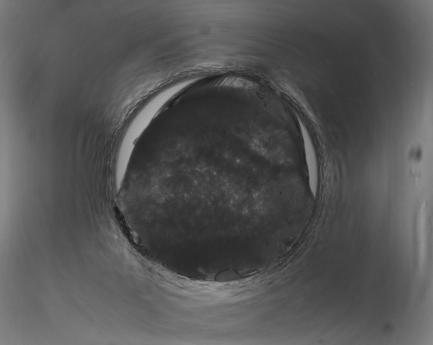 X0000116100023200912071310