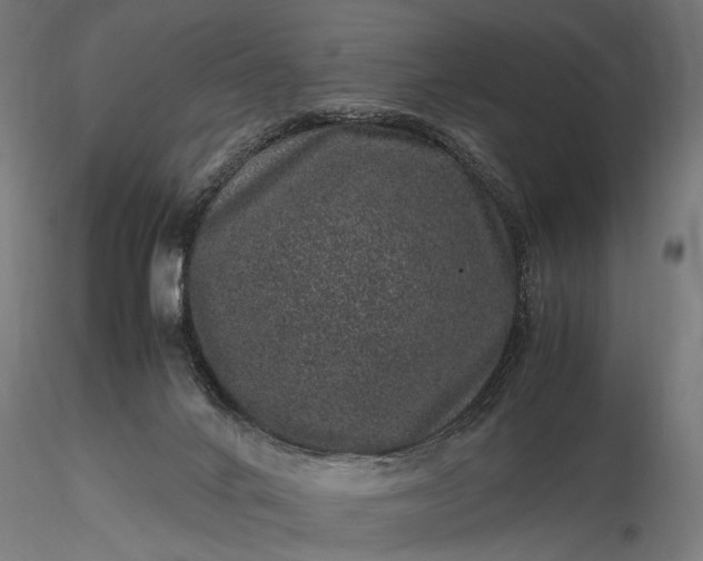 X0000116100024200912071310