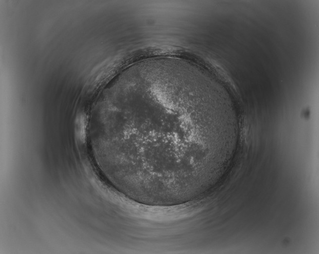 X0000116100026200912071310