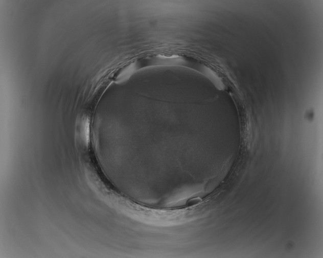 X0000116100027200912071310