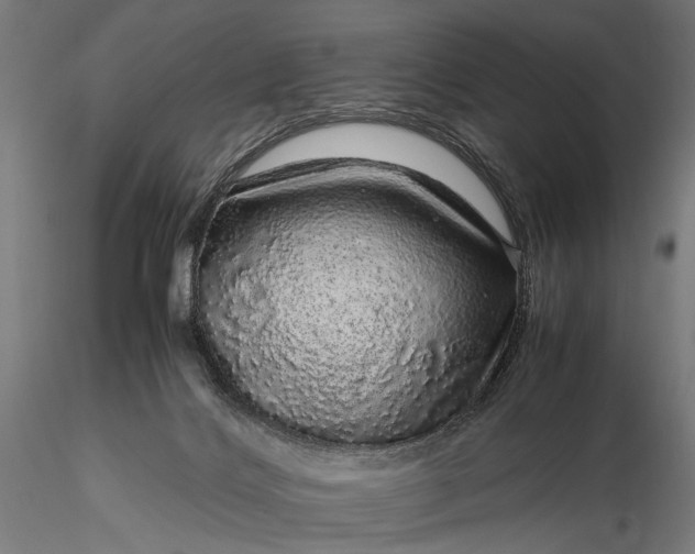 X0000116100028200912071310