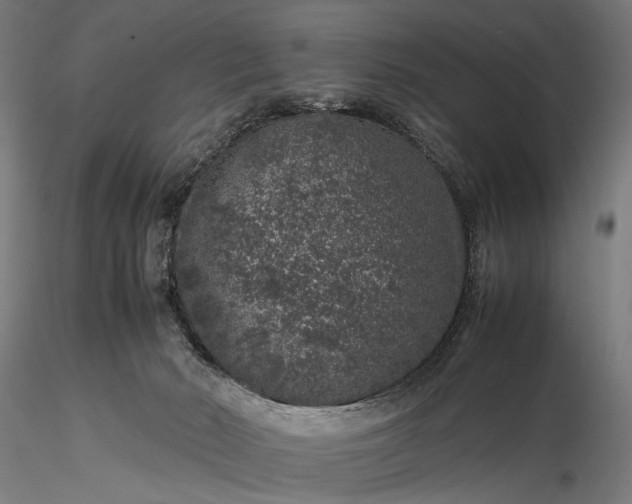 X0000116100030200912071310