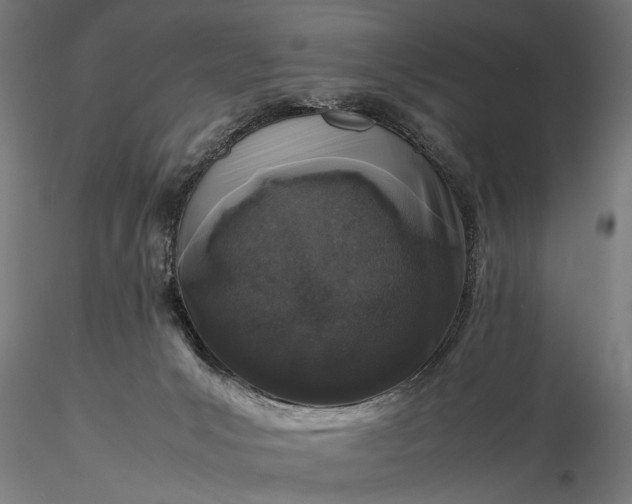 X0000116100031200912071310