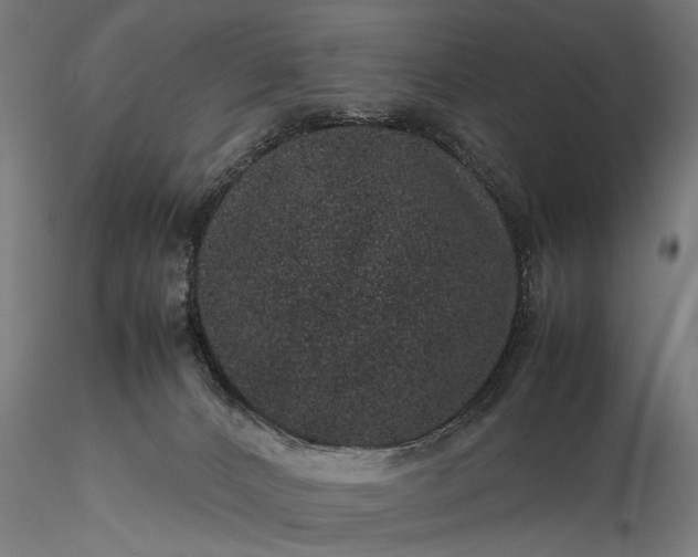 X0000116100032200912071310