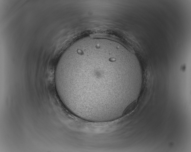 X0000116100033200912071310