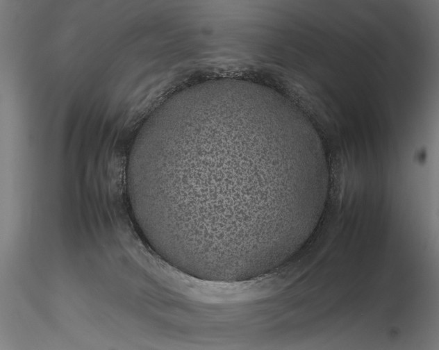 X0000116100034200912071310