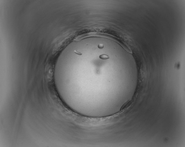 X0000116100037200912071310