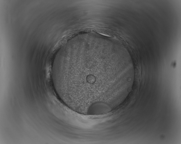 X0000116100038200912071310