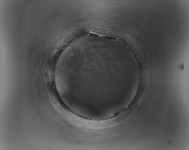 X0000116100039200912071310