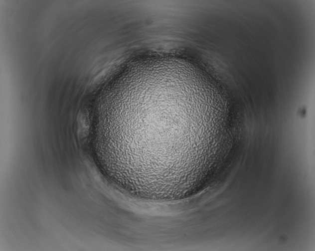 X0000116100040200912071310