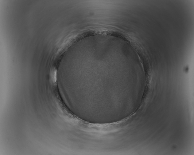 X0000116100041200912071310