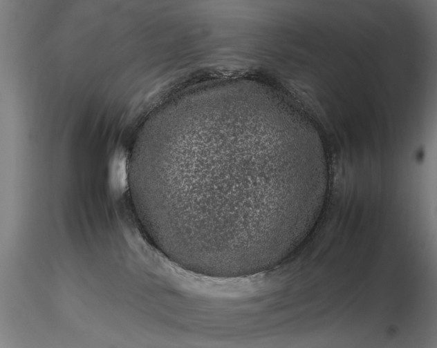 X0000116100042200912071310