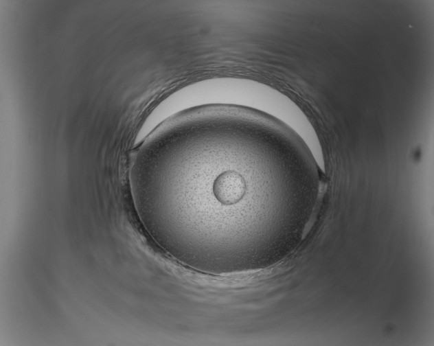 X0000116100043200912071310