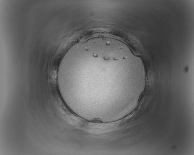 X0000116100045200912071310