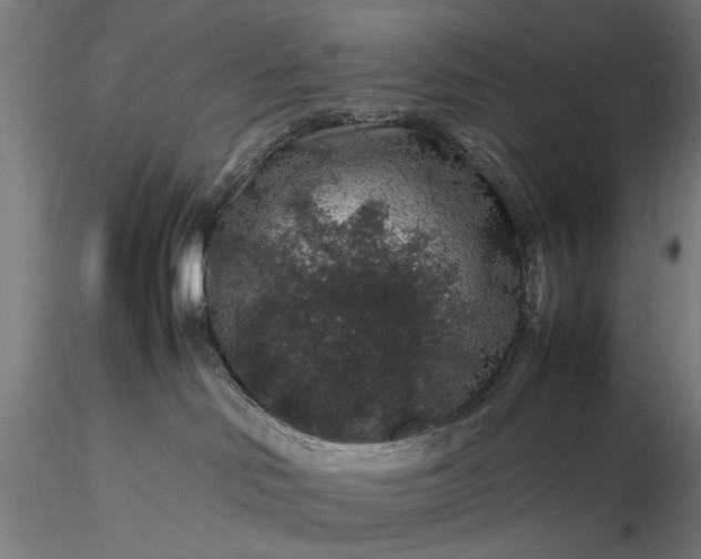 X0000116100046200912071310